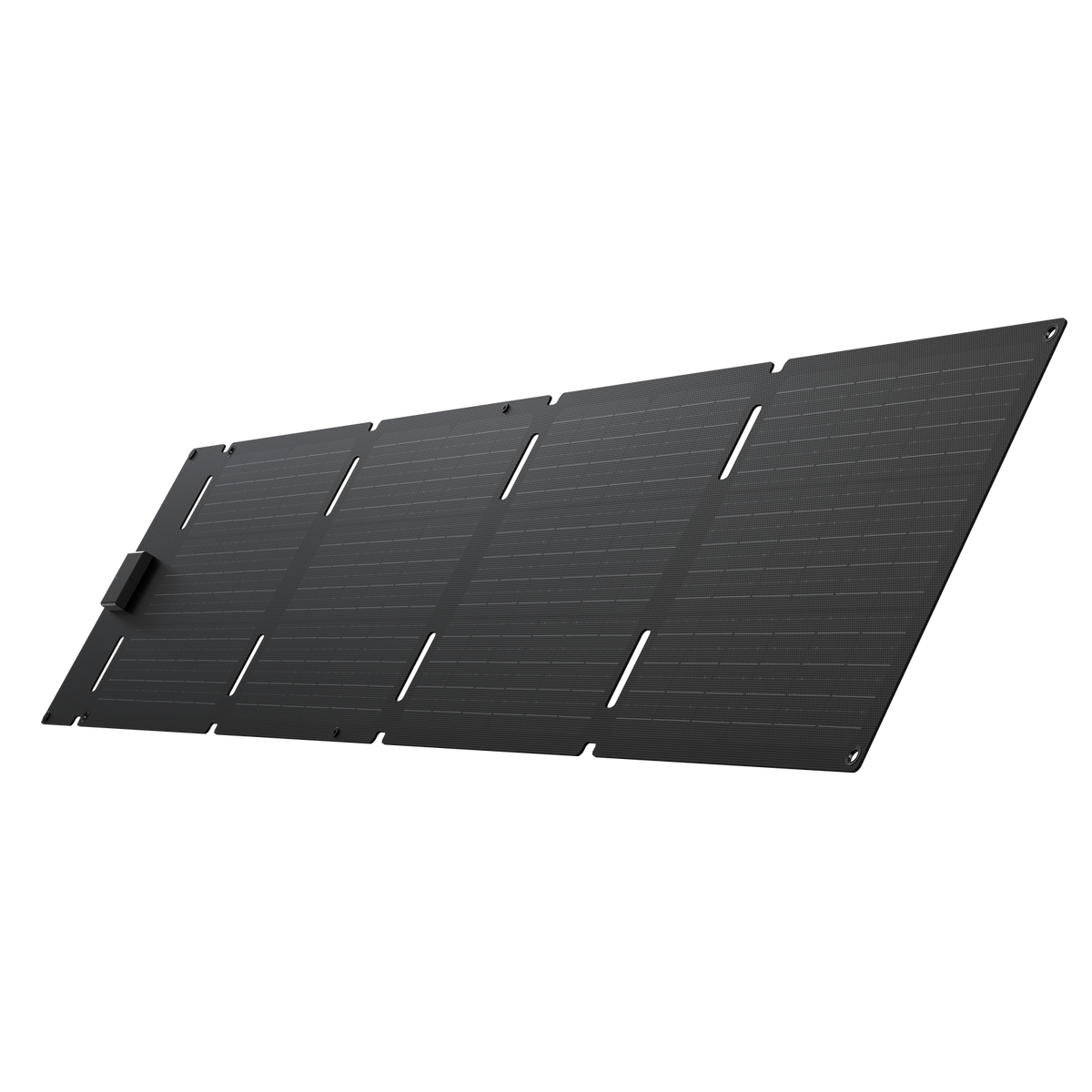 EcoFlow 60W Portable Solar Panel Type-C